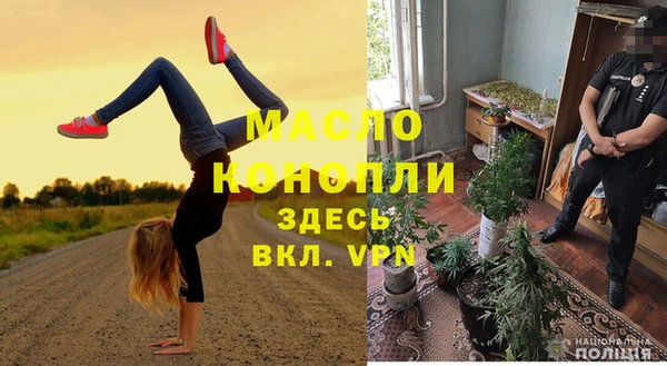 сатива Алексеевка
