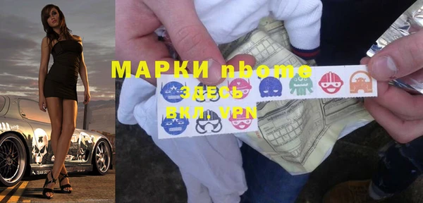 СК Алексин