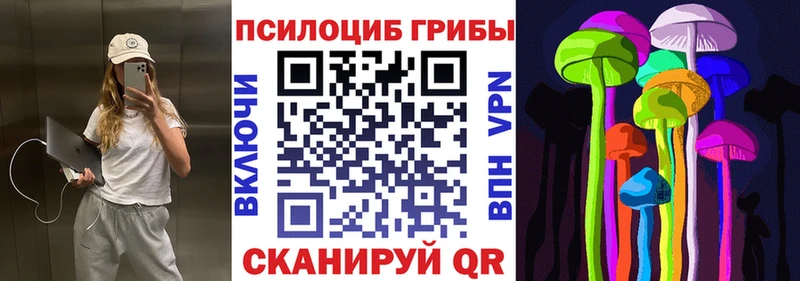 где купить   Сорочинск  Галлюциногенные грибы Psilocybine cubensis 