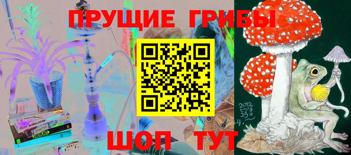 купить   Вход с VPN  Псилоцибиновые грибы GOLDEN TEACHER  Сорочинск  Галлюциногенные грибы Cubensis 